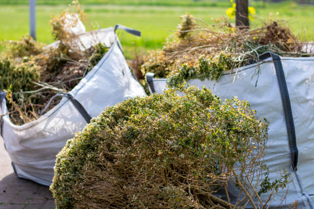 Yard Cleanup Services in Nolensville, TN